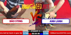 Video Trận 1 CPC2 30/3/2025 - Bảo Sting Thắng Trận Đầu Tiên