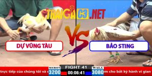 Video Trận 41 CPC2 30/3/2025 - Bảo Sting Lại Hạ Dự Vũng Tàu