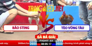 Video Trận 33 CPC2 30/3/2025 - Bảo Sting Đá Vs Tèo Vũng Tàu