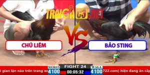 Video Trận 24 CPC2 30/3/2025 - Chú Liêm Đụng Độ Bảo Sting