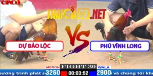 Video Trận 30 CPC1 29/03/2025 - Dự Bảo Lộc Vs Phú Vĩnh Long