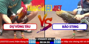 Video Trận 25 CPC2 30/3/2025 - Dự Vũng Tàu Gặp Bảo Sting