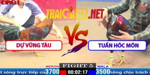 Video Trận 5 CPC1 29/3/2025 - Dự Vũng Tàu Gặp Tuấn Hốc Môn