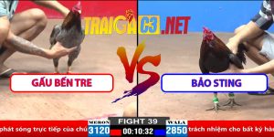Video Trận 39 CPC2 30/3/2025 - Gấu Bến Tre Gặp Bảo Sting