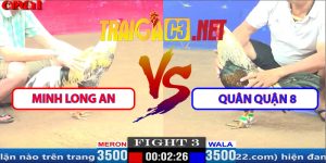 Video Trận 3 CPC1 27/3/2025 - Minh Long An Và Quân Quận 8