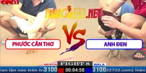 Video Trận 8 29/3/2025 - Phước Cần Thơ Đụng Độ Tính Gaking