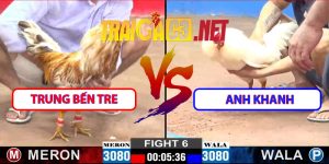 Video Trận 6 CPC2 12/3/2025 Trung Bến Tre - A Khanh