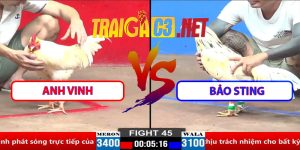 Video Trận 45 CPC2 30/3/2025 - Anh Vinh Gặp Bảo Sting