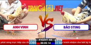 Video Trận 48 CPC2 30/3/2025 - A Vinh Và Bảo Sting