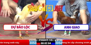 Video Trận 15 CPC2 30/3/2025 - Dự Bảo Lộc Gặp Anh Giao