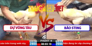 Video Trận 9 CPC2 30/3/2025 - Dự Vũng Tàu Gặp Bảo Sting