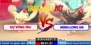 Video Trận 7 CPC1 27/3/2025 - Dự Vũng Tàu Hạ Minh Long An