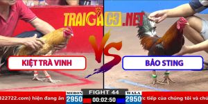 Video Trận 44 CPC2 30/3/2025 - Kiệt Trà Vinh Đá Đè Bạc Bảo Sting
