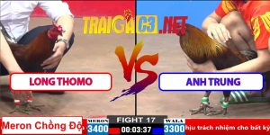Video Trận 17 CPC2 30/3/2025 - Gà A Long Thomo Chồng Độ