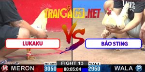 Video Trận 13 CPC2 12/3/2025 - Lukaku Gặp Bảo Sting