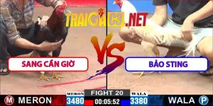 Video Trận 22 CPC2 12/3/2025 – Bảo Sting Đụng A Mì Tôm