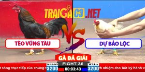 Video Trận 36 CPC2 30/3/2025 - Tèo Vũng Tàu Đụng Dự Bảo Lộc