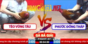 Video Trận 47 CPC2 30/3/2025 - Tèo Vũng Tàu Hạ Phước Đồng Tháp