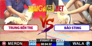 Video Trận 9 CPC2 12/3/2025 Trung Bến Tre - Bảo Sting