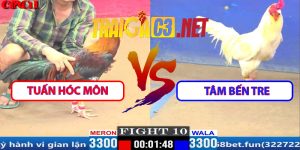 Video Trận 10 CPC1 29/3/2025 - Tuấn Hóc Môn Gặp Tâm Bến Tre