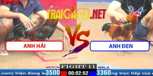 Video Trận 11 CPC1 5/4/2025 Anh Hải Đụng Độ Tính Gaking