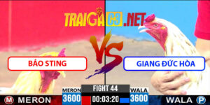 Video Trận 44 CPC3 22/4/2025 - Bảo Sting Tại Đấu Giang Đức Hòa