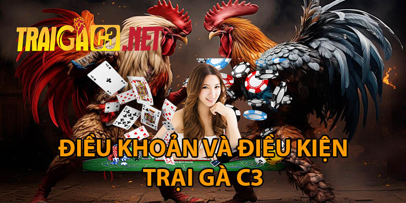 điều khoản và điều kiện
