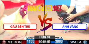 Video Trận 18 CPC3 22/4/2025 - Gấu Bến Tre Gặp Anh Vàng