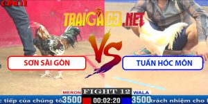 Video Trận 12 CPC1 5/4/2025 - Sơn Sài Gòn Gặp Tuấn Hóc Môn