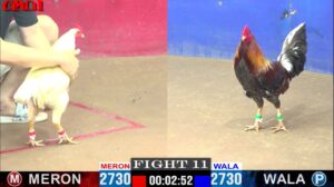 Video Trận 11 CPC1 26/4/2025 - Gấu Bến Tre Gặp Bé Bến Tre