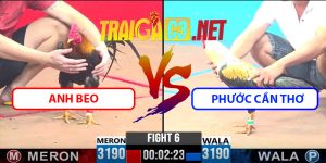 Video Trận 6 CPC3 9/4/2025 - A Beo Gặp Phước Cần Thơ