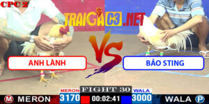 Video Trận 30 CPC2 27/4/2025 - Anh Lành Hạ Bảo Sting