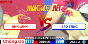 Video Trận 34 CPC2 27/4/2025 - Anh Lành Chồng Độ Hạ Bảo Sting
