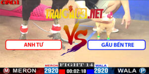 Video Trận 14 CPC1 26/4/2025 - Anh Tư Gặp Gấu Bến Tre