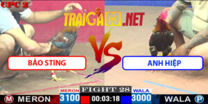 Video Trận 28 CPC2 27/4/2025 - Bảo Sting Gặp Anh Hiệp