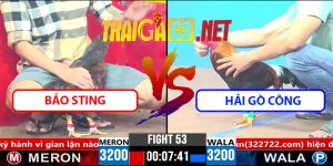 Video Trận 53 CPC3 1/4/2025 - Bảo Sting Gặp Hải Gò Công