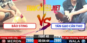 Video Trận 40 CPC3 1/4/2025 Bảo Sting Hạ Tấn Gạo Cần Thơ