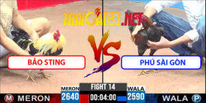 Video Trận 14 CPC3 22/4/2025 - Bảo Sting Đấu Với Phú Sài Gòn