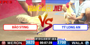 Video Trận 21 CPC2 27/4/2025 - Bảo Sting Với Tý Long An