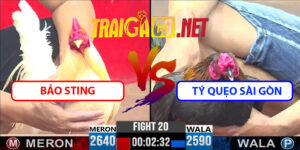 Video Trận 20 CPC3 22/4/2025 - Bảo Sting Đấu Tý Quẹo Sài Gòn