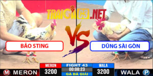 Video Trận 43 CPC3 22/4/2025 - Bảo Sting Lụm Dũng Sài Gòn