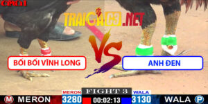 Video Trận 3 CPC1 26/4/2025 - Bối Bối Hạ Tính Gaking