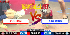 Video Trận 22 CPC2 27/4/2025 - Chú Liêm Đấu Bảo Sting