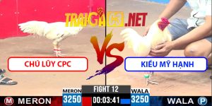 Video Trận 12 CPC3 8/4/2025 - Chú Lũy CPC Vs Kiều Mỹ Hạnh