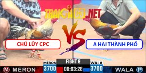 Video Trận 9 CPC3 8/4/2025 - Chú Lũy CPC Gặp A Hai Thành Phố