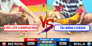 Video Trận 37 CPC3 22/4/2025 - Tài Bình Chánh Đấu Với Chú Lũy CPC