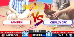 Video Trận 1 CPC3 1/4/2025 - Chú Lũy CPC Hạ Anh Đen