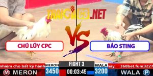Video Trận 3 CPC3 1/4/2025 - Chú Lũy CPC Hạ Nhanh Bảo Sting