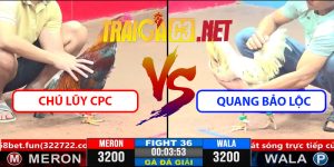 Video Trận 36 CPC3 1/4/2025 Chú Lũy CPC Và Quang Bảo Lộc