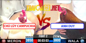 Video Trận 2 CPC3 22/4/2025 - Chú Lũy CPC Đấu Anh Duy